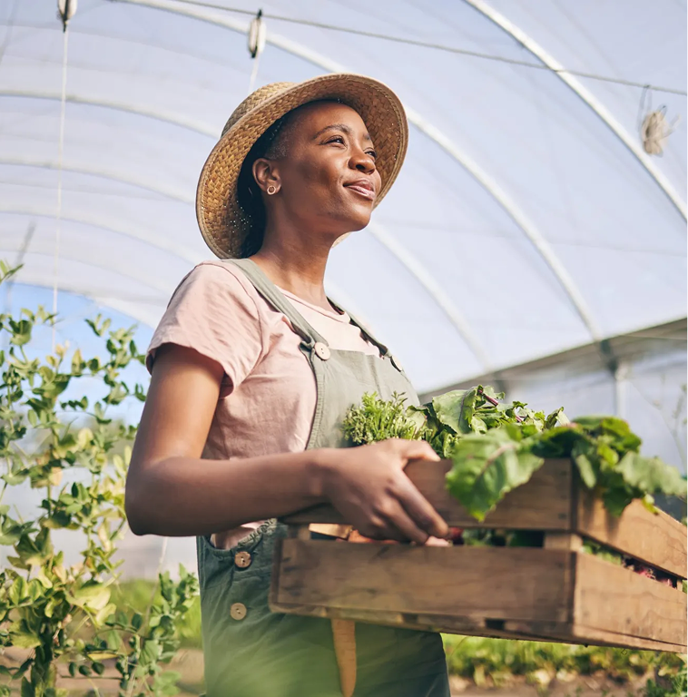 LAPO Community Campaign